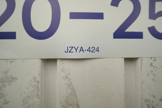 JZYA 242 de apartamento para alugar com 2 quartos, 50m² em Vila Curuçá, Santo André