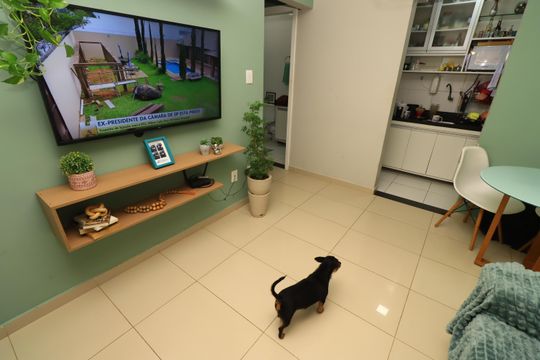 Apartamento para alugar com 1 quarto, 42m² em Brotas, Salvador