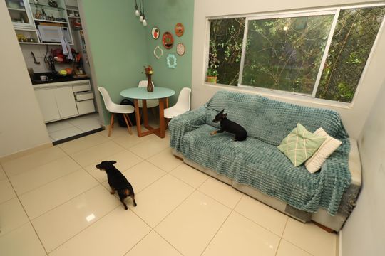 Apartamento para alugar com 1 quarto, 42m² em Brotas, Salvador