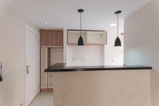 Cozinha de apartamento para alugar com 2 quartos, 55m² em Jardim do Lago Continuacao, Campinas