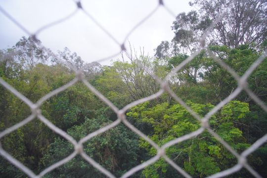 vista do Quarto 2 de apartamento para alugar com 2 quartos, 43m² em Scharlau, São Leopoldo