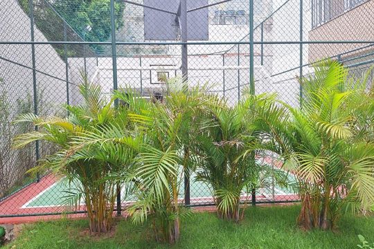 Área comum  de apartamento para alugar com 2 quartos, 37m² em Bom Retiro, São Paulo