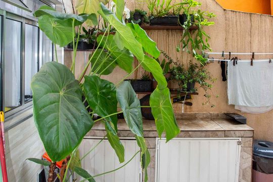 Área de Serviço de casa à venda com 4 quartos, 125m² em Taboão, Diadema