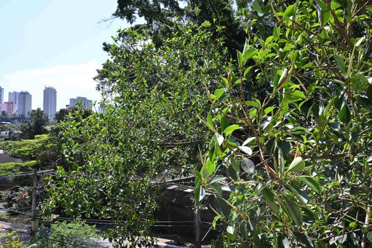 Vista do Quarto 1 de casa de condomínio à venda com 4 quartos, 314m² em Fazenda Morumbi, São Paulo