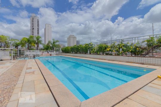 Piscina de apartamento para alugar com 2 quartos, 65m² em Cambuci, São Paulo