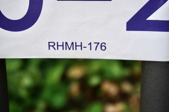 Instalação de placa 5A: foto 2 de apartamento para alugar com 2 quartos, 72m² em Sion, Belo Horizonte