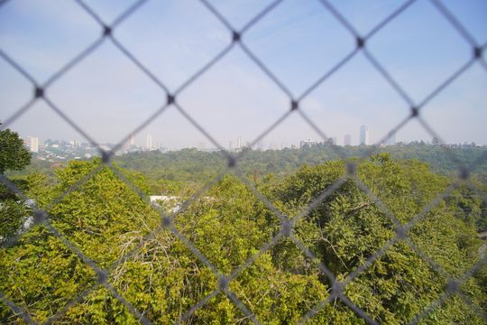 Vista do Quarto 2 de apartamento para alugar com 2 quartos, 70m² em Hamburgo Velho, Novo Hamburgo