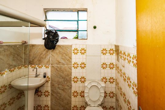 Banheiro Social de apartamento para alugar com 2 quartos, 50m² em Novo Progresso, Belo Horizonte