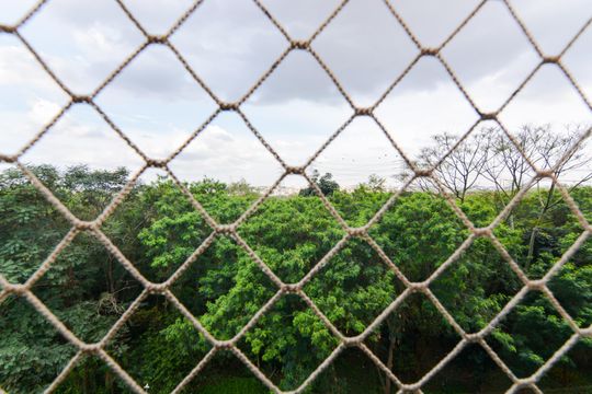Vista do Quarto 2 de apartamento para alugar com 3 quartos, 60m² em Vila Florida, Guarulhos
