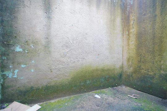 Área de Serviço de casa à venda com 2 quartos, 50m² em Santa Rosa de Lima, Porto Alegre