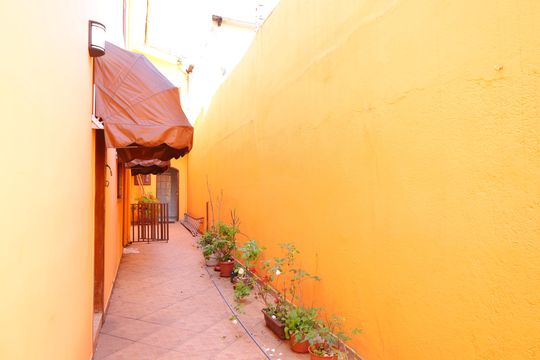 Quintal de casa para alugar com 2 quartos, 80m² em Vila Raquel, São Paulo