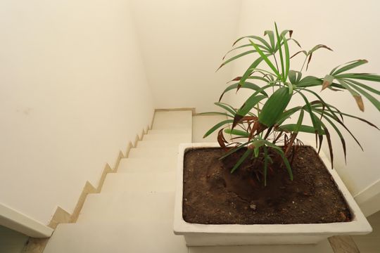 Casa para alugar com 2 quartos, 160m² em Jardim das Margaridas, Salvador