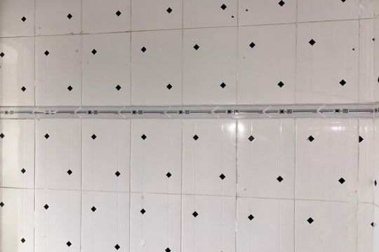 Cozinha de apartamento para alugar com 1 quarto, 30m² em Vila Penteado, São Paulo