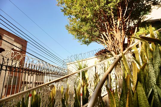 Jardim de casa à venda com 6 quartos, 502m² em São Lucas, Belo Horizonte