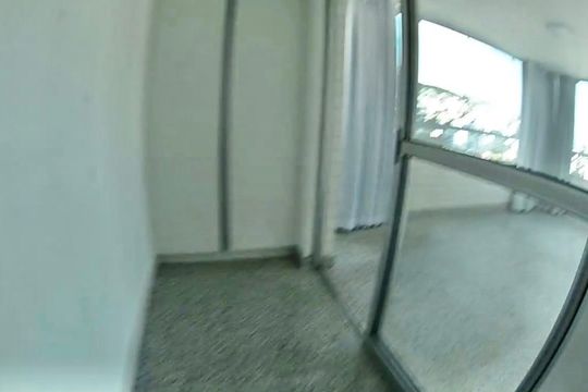 Sala / Quarto  de kitnet/studio para alugar com 1 quarto, 40m² em Buritis, Belo Horizonte
