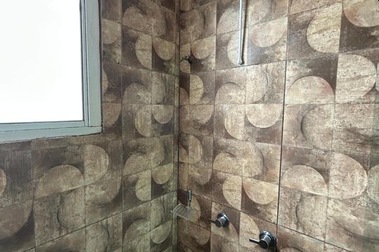 Banheiro de apartamento para alugar com 2 quartos, 43m² em Bonsucesso, Rio de Janeiro