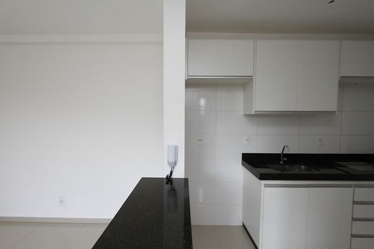 Cozinha de apartamento para alugar com 2 quartos, 57m² em Havaí, Belo Horizonte