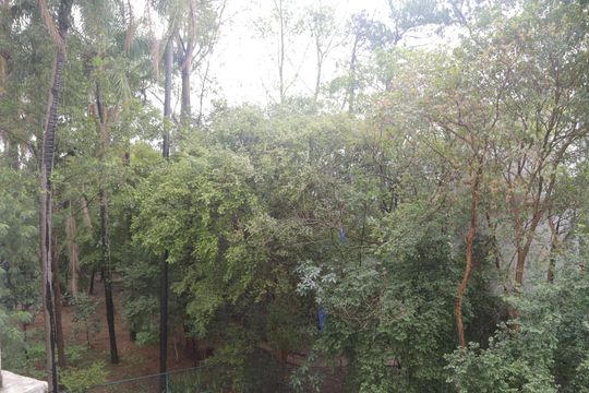 Vista da sacada da sala de apartamento à venda com 2 quartos, 50m² em Itaquera, São Paulo