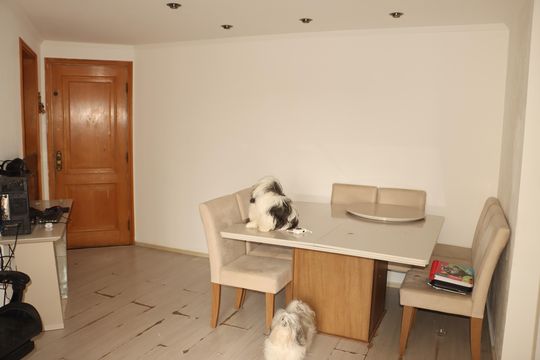 Apartamento à venda com 2 quartos, 53m² em Sítio Pinheirinho, São Paulo