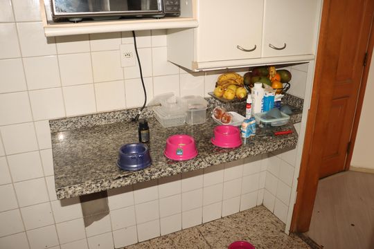 Apartamento à venda com 2 quartos, 53m² em Sítio Pinheirinho, São Paulo
