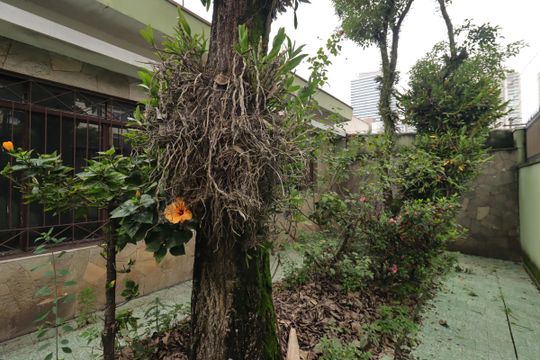 Jardim da frente de casa à venda com 3 quartos, 148m² em Jardim Ocara, Santo André
