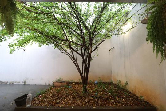 Quintal de casa para alugar com 3 quartos, 180m² em Shopping Park, Uberlândia