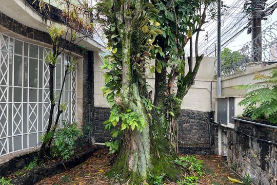 Área comum de casa para alugar com 1 quarto, 70m² em Bom Retiro, São Paulo