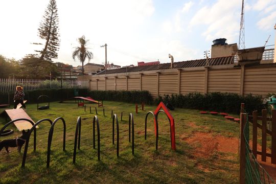 Área comum - Espaço Pet de apartamento para alugar com 1 quarto, 30m² em Vila Ema, São Paulo