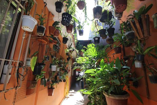 Corredor de casa à venda com 3 quartos, 273m² em Jardim Dalmo, São Paulo