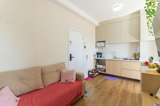 Sala de apartamento à venda com 2 quartos, 40m² em Vila Centenario, São Paulo