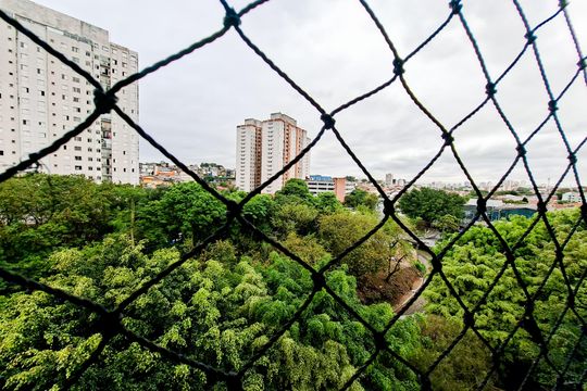Vista Quarto 2  de apartamento para alugar com 2 quartos, 60m² em Jardim Testae, Guarulhos