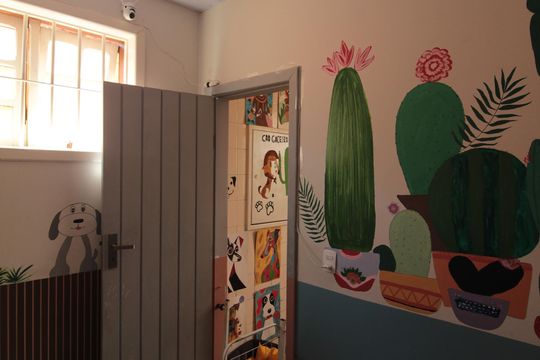 Área de Serviço de apartamento à venda com 5 quartos, 807m² em Dona Clara, Belo Horizonte