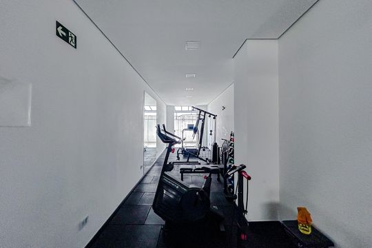 Área comum - Academia de apartamento para alugar com 2 quartos, 47m² em Vila Santa Isabel, São Paulo