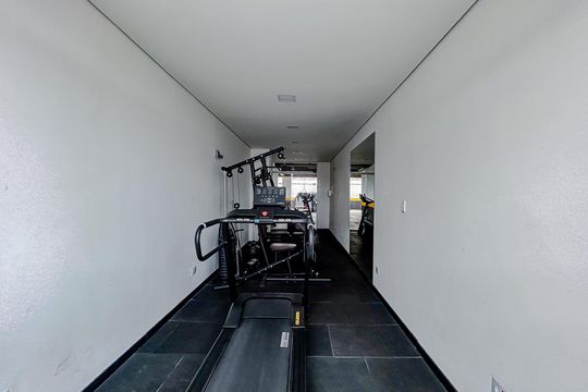 Área comum - Academia de apartamento para alugar com 2 quartos, 47m² em Vila Santa Isabel, São Paulo