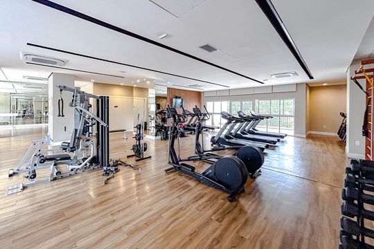 Área comum - Academia de apartamento para alugar com 2 quartos, 66m² em Vila Zilda, São Paulo