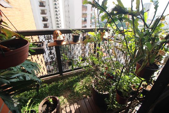 Sala - Varanda de apartamento à venda com 3 quartos, 103m² em Santana, São Paulo