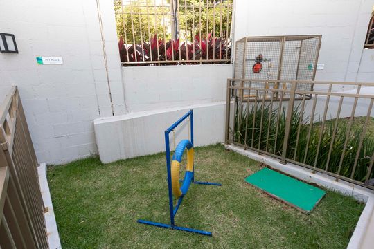 PET PLACE de apartamento para alugar com 2 quartos, 50m² em Fazenda Santa Cândida, Campinas