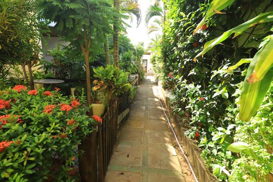 Área externa de casa para alugar com 2 quartos, 150m² em Stella Maris, Salvador