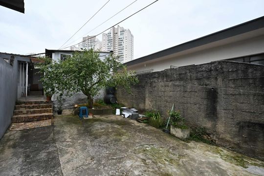 Quintal de casa para alugar com 1 quarto, 50m² em Vila Sonia, São Paulo