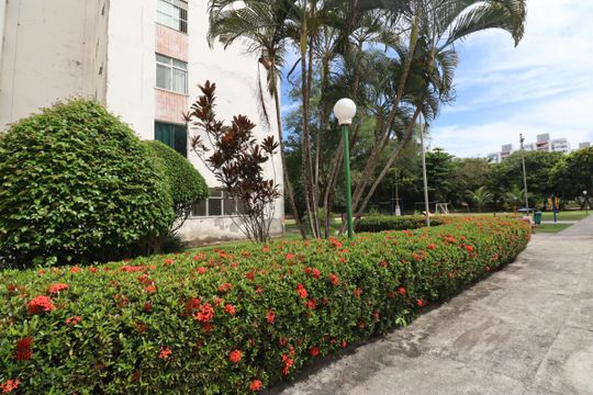 Área comum de apartamento para alugar com 3 quartos, 100m² em Imbuí, Salvador