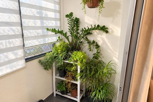 Varanda de apartamento à venda com 2 quartos, 68m² em Jardim Oriental, São Paulo