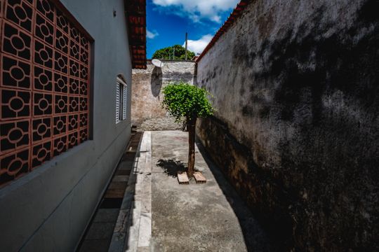 Quintal de casa à venda com 3 quartos, 435m² em São Cosme de Baixo, Belo Horizonte