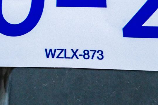 Placa Instalada-25/09/26-WZLX-873 de casa à venda com 3 quartos, 435m² em São Cosme de Baixo, Belo Horizonte