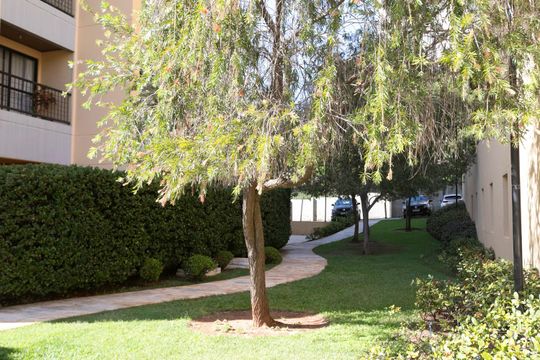 ÁREA VERDE de apartamento para alugar com 2 quartos, 65m² em Mansões Santo Antônio, Campinas