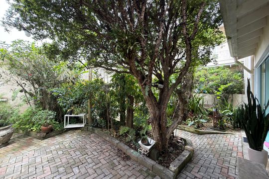 Quintal  de casa à venda com 6 quartos, 536m² em Parque Anchieta, São Bernardo do Campo