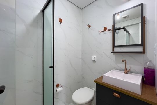 Banheiro de apartamento para alugar com 2 quartos, 53m² em Vila Dom Pedro I, São Paulo