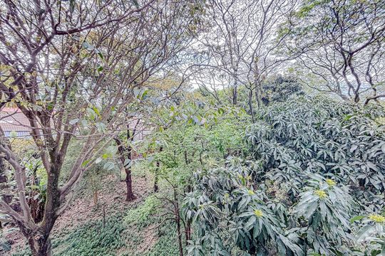Vista do Quarto 1 de apartamento para alugar com 2 quartos, 52m² em Vila Formosa, São Paulo