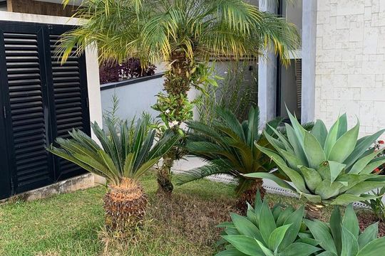Área externa de casa para alugar com 3 quartos, 300m² em Cezar de Souza, Mogi das Cruzes