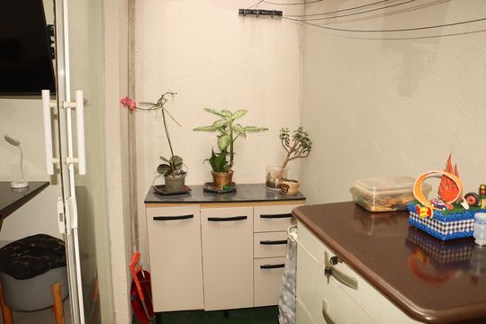 Apartamento para alugar com 1 quarto, 34m² em Vila Ema, São Paulo
