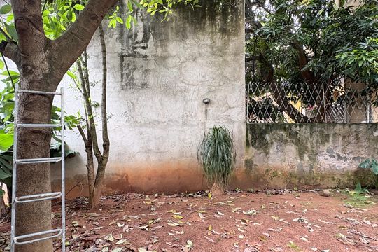 Quintal de casa à venda com 2 quartos, 300m² em Vila Pereira Cerca, São Paulo